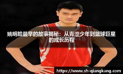 emc易倍