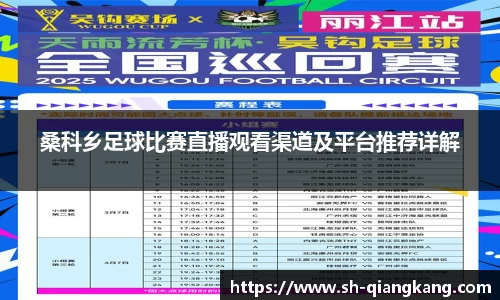桑科乡足球比赛直播观看渠道及平台推荐详解